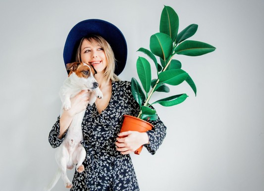 7 Common Household Plants That Are Toxic to Dogs