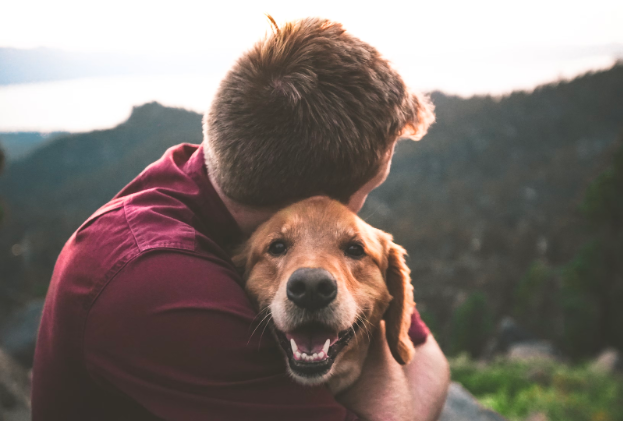 Considering a Senior Dog? What You Need to Know