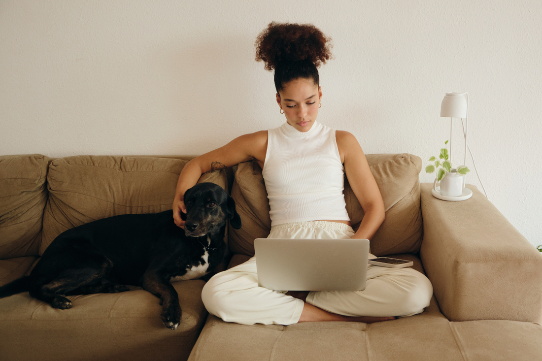 How to Care for a Dog While Working Full-Time?