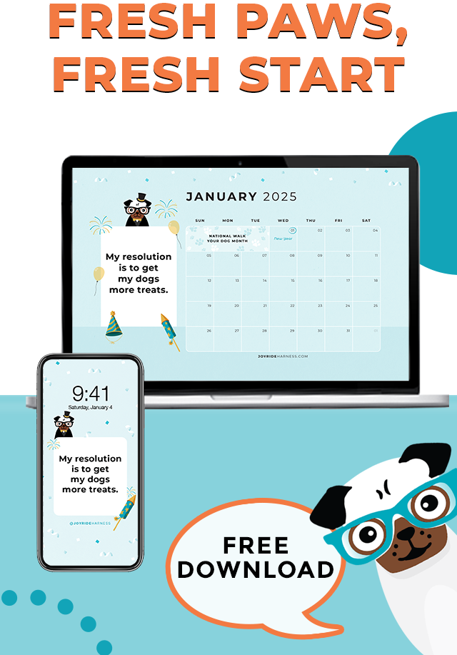 Walk Your Dog Month (January 2025 Free Desktop & Mobile Wallpaper)