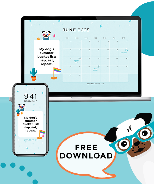 Building a Healthy Summer Routine for Your Dog ( June 2025 Free Desktop & Mobile Wallpaper)