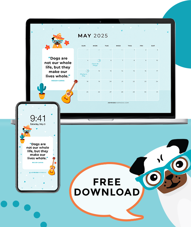 5 Ways to Keep Your Dog Happy This May Adventures (May 2025 Free Desktop & Mobile Wallpaper)