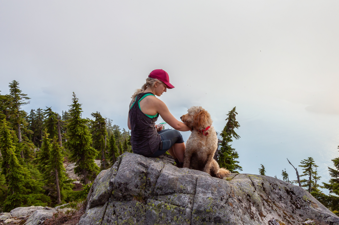 Prepare Your Dog for Hiking and Park Trips