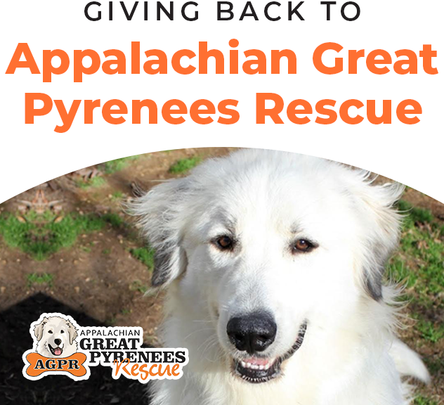 Paw It Forward Spotlight Appalachian Great Pyrenees Rescue