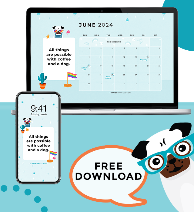 Keeping Your Dog Safe This Summer ( June 2024 Free Desktop & Mobile Wallpaper)