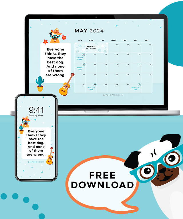May Adventure Tips For Your Dog ( + May 2024 Desktop & Mobile Wallpaper For Dog Lovers)