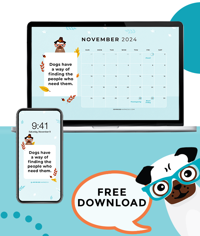 Why Dog Parents Are So Grateful for Their Dogs (November 2024 FREE DESKTOP & MOBILE WALLPAPER)
