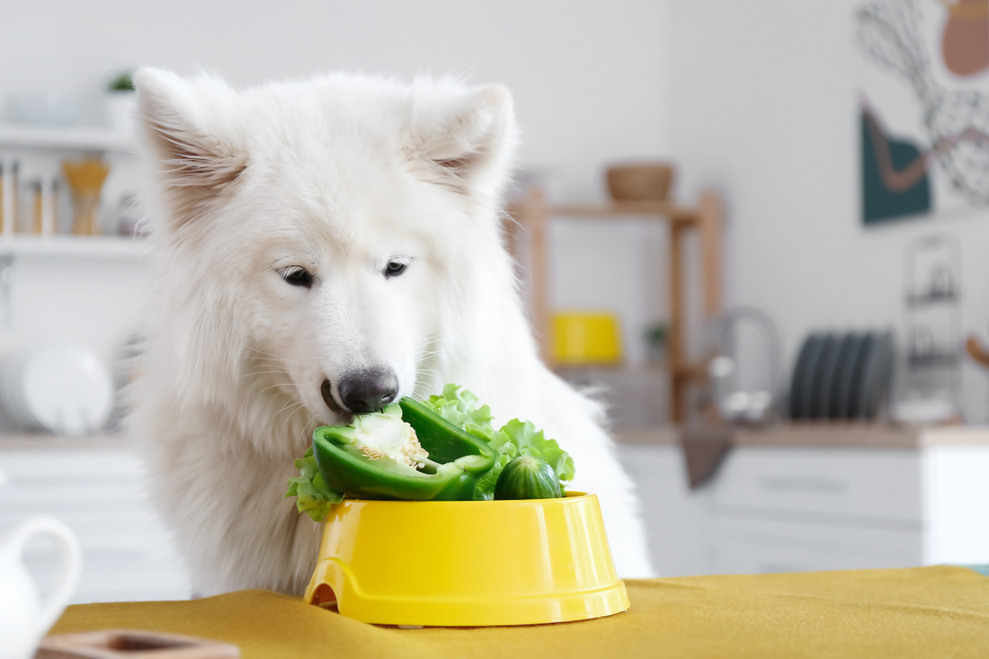 Dog-Friendly Vegetables: What to Feed and What to Avoid
