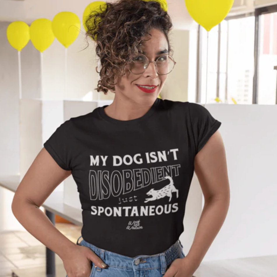 St Patrick's Day Gift Guide For Dogs & Dog Lovers