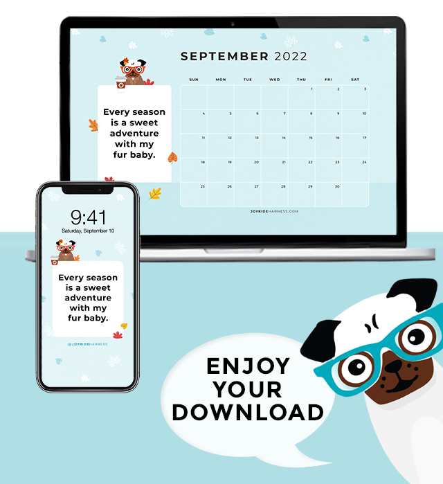 September 2022 Free Desktop & Mobile Wallpaper For Dog Lovers