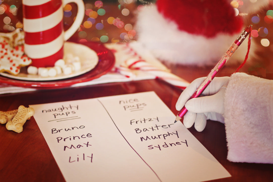Holiday Gift Guide: 12 Days of Dogmas