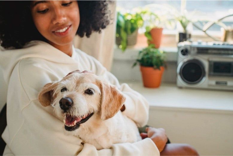 Smart Savings For Dog Parents This 2024