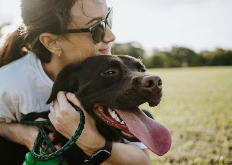 Quality Time and Bonding Ideas with Your Dog!