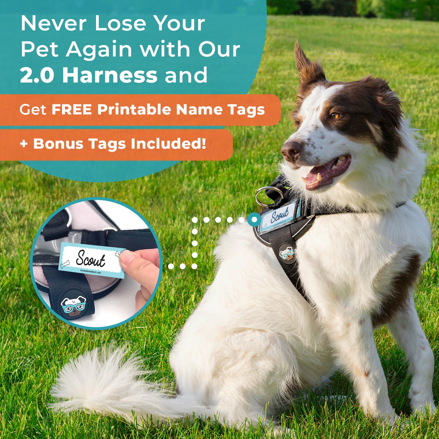 Free Custom Name Tags for 2.0 Harnesses PDF - 13 Tags Included ( -$19.95)