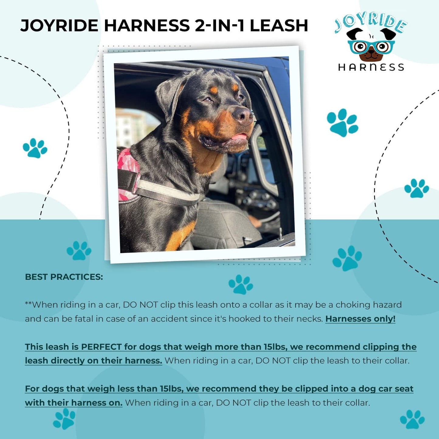 Black Dog Leash with Seat Belt Buckle