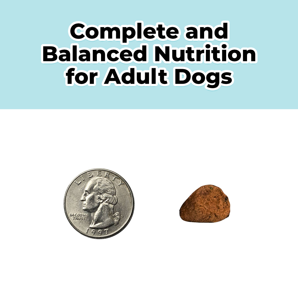 freeze dried raw dog food beef recipe