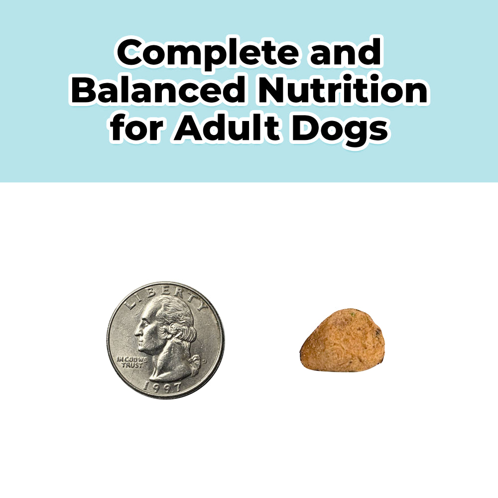 freeze dried raw dog food chicken recipe