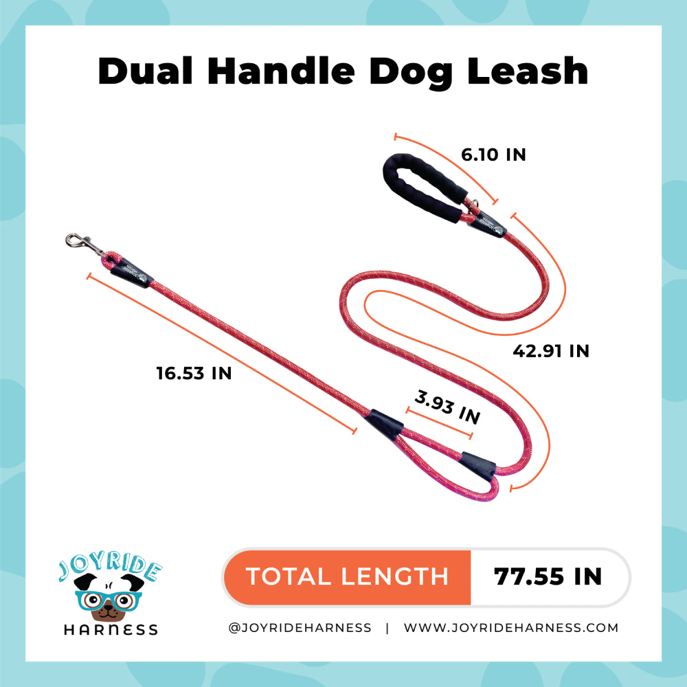 Dual Handle Rope Dog Leash