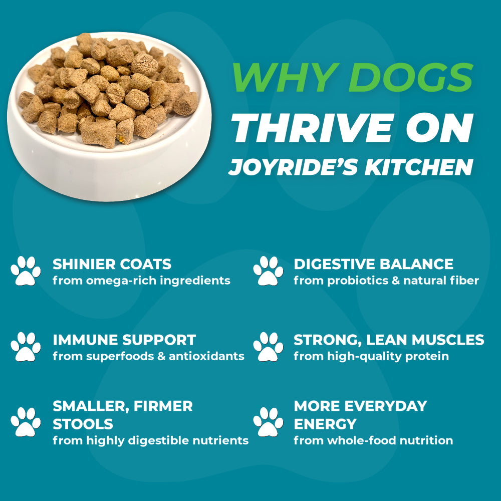 Joyride’s Kitchen Wholesome Chicken Freeze-Dried Raw Dog Food