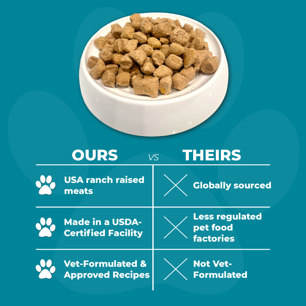 Joyride’s Kitchen Wholesome Beef Freeze-Dried Raw Dog Food