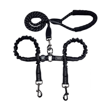 Dual Dog Leash