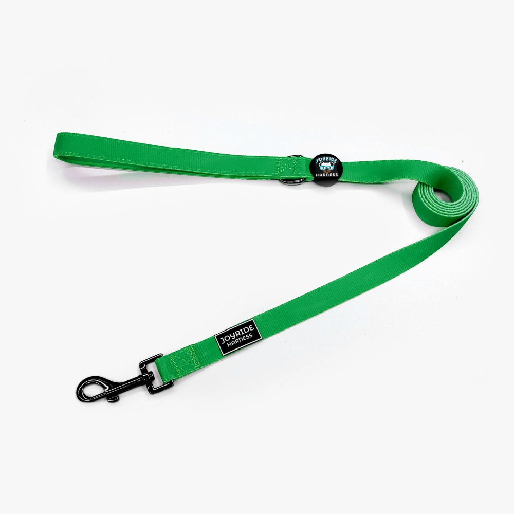 Grass Green Matching Dog Leash