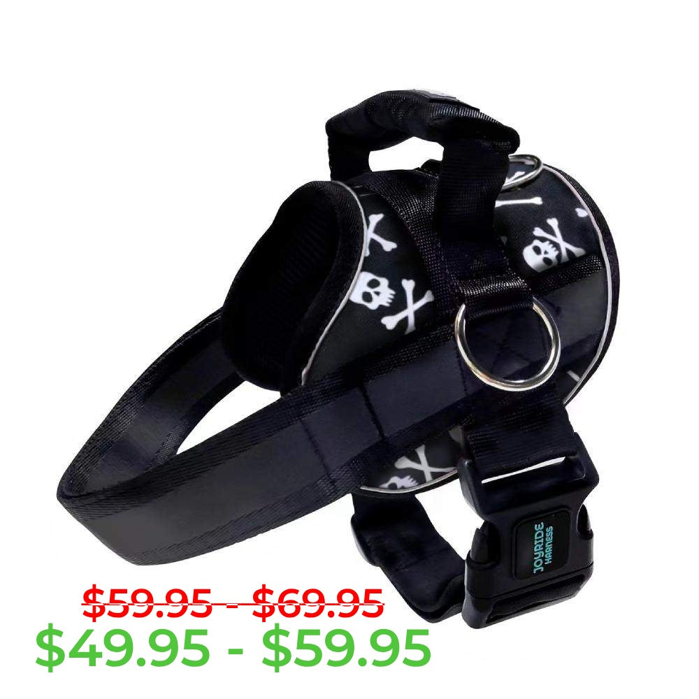 Black Skulls Joyride Premium Advanced Dog Harness 2.0