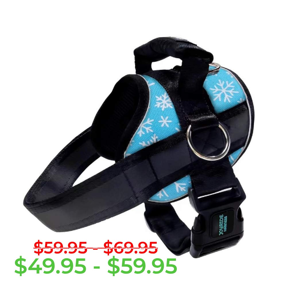 Blue Snowflake Joyride Premium Advanced Dog Harness 2.0