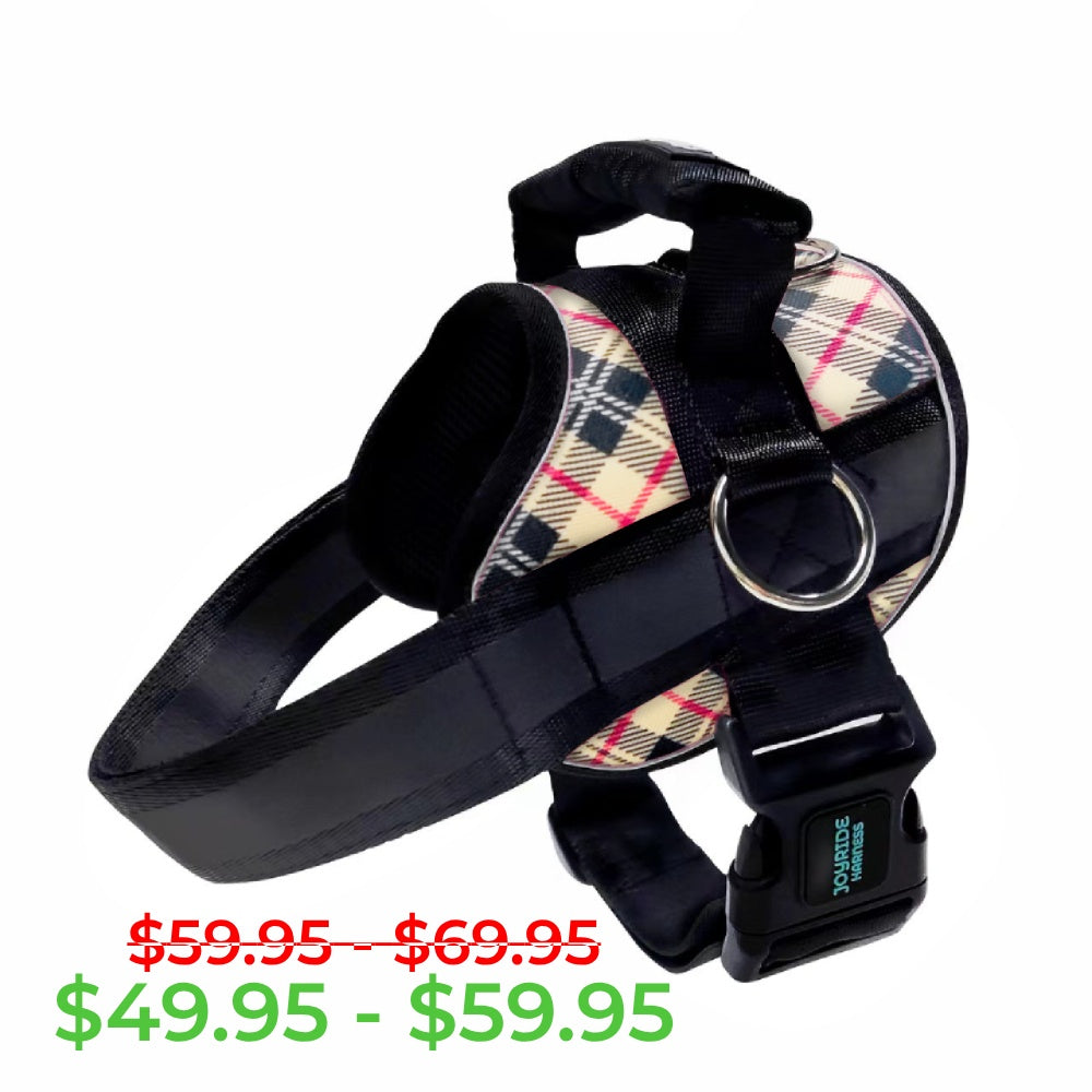 Fall Plaid Joyride Premium Advanced Dog Harness 2.0