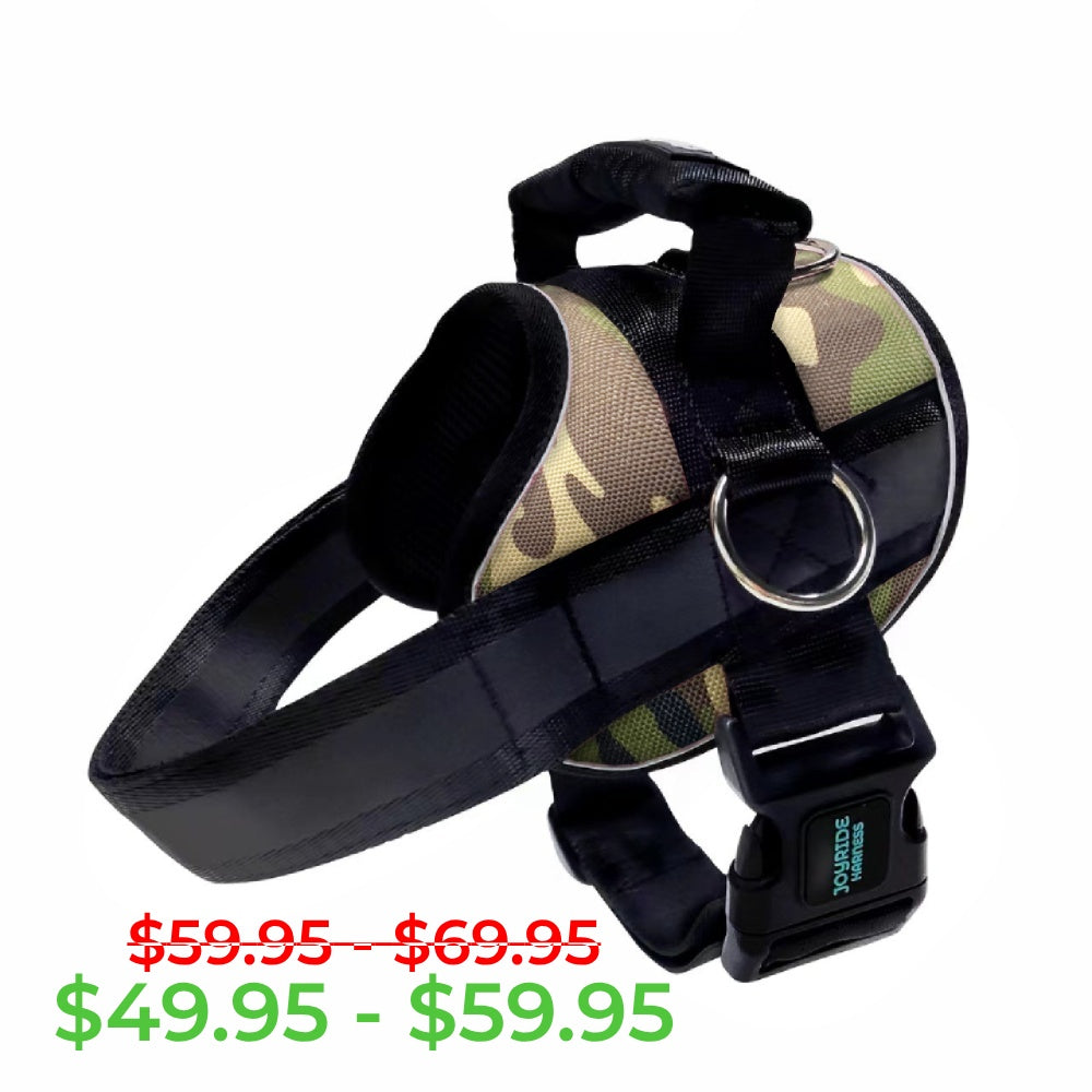 Green Camo Joyride Premium Advanced Dog Harness 2.0