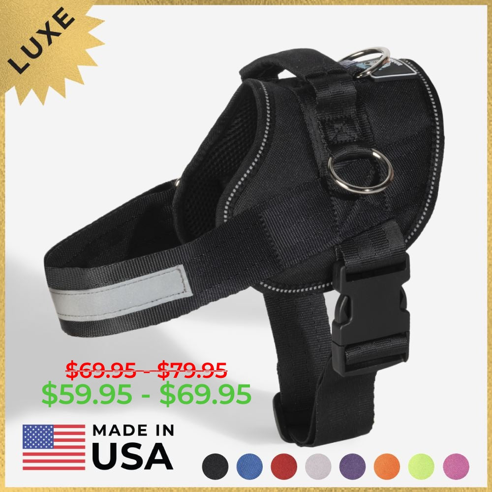 Luxe Dog Harness Joyride Harness