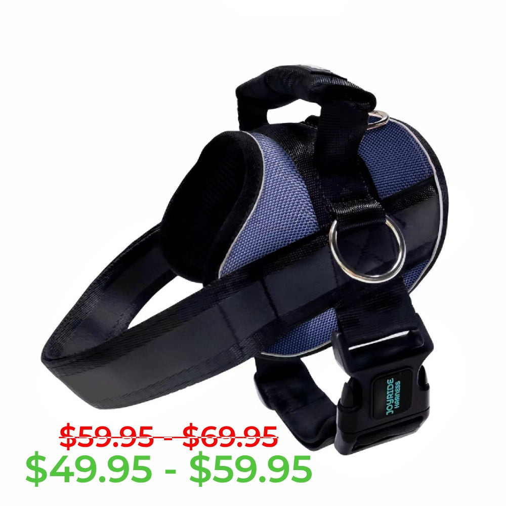 Midnight Blue Joyride Premium Advanced Dog Harness 2.0