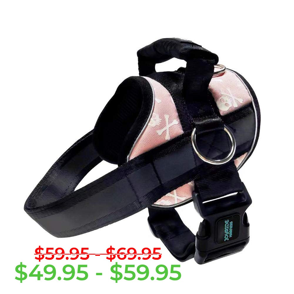 Pink Skulls Joyride Premium Advanced Dog Harness 2.0