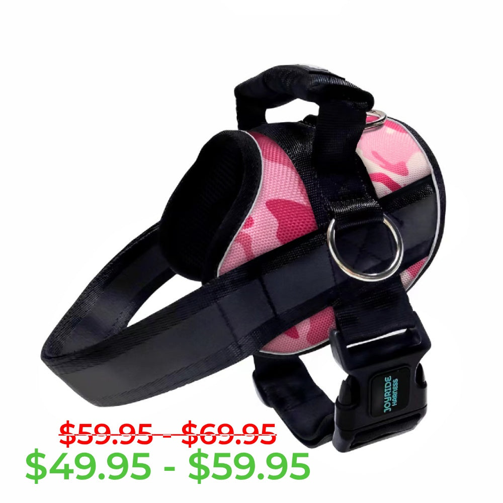 Pink Camo Joyride Premium Advanced Dog Harness 2.0