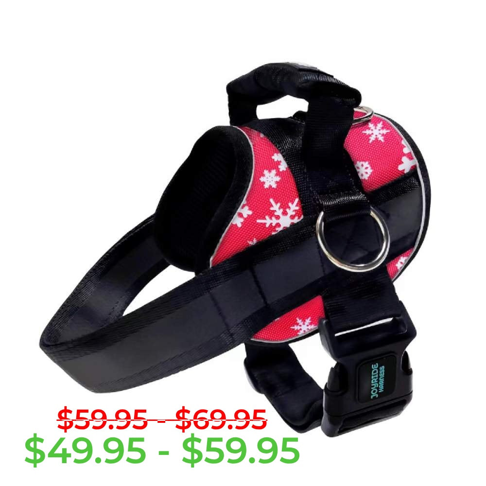 Red Snowflake Joyride Premium Advanced Dog Harness 2.0