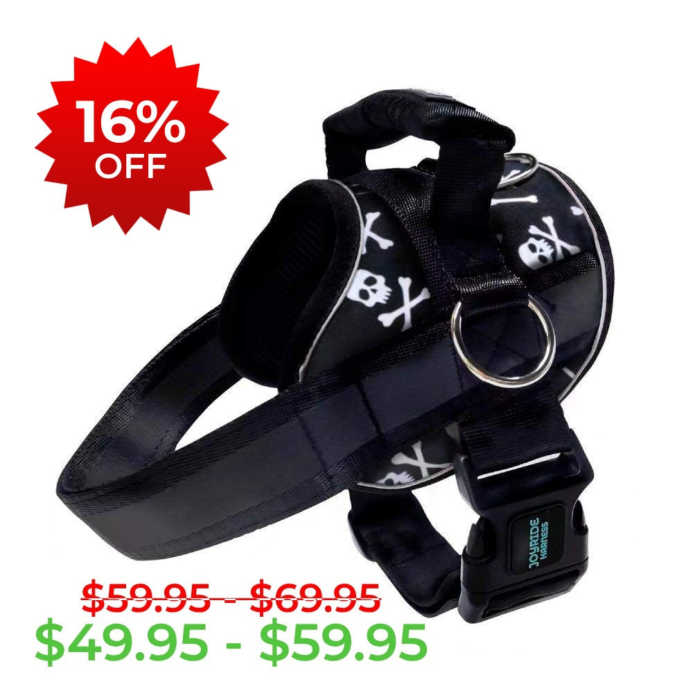 Black Skulls Joyride Harness 2.0