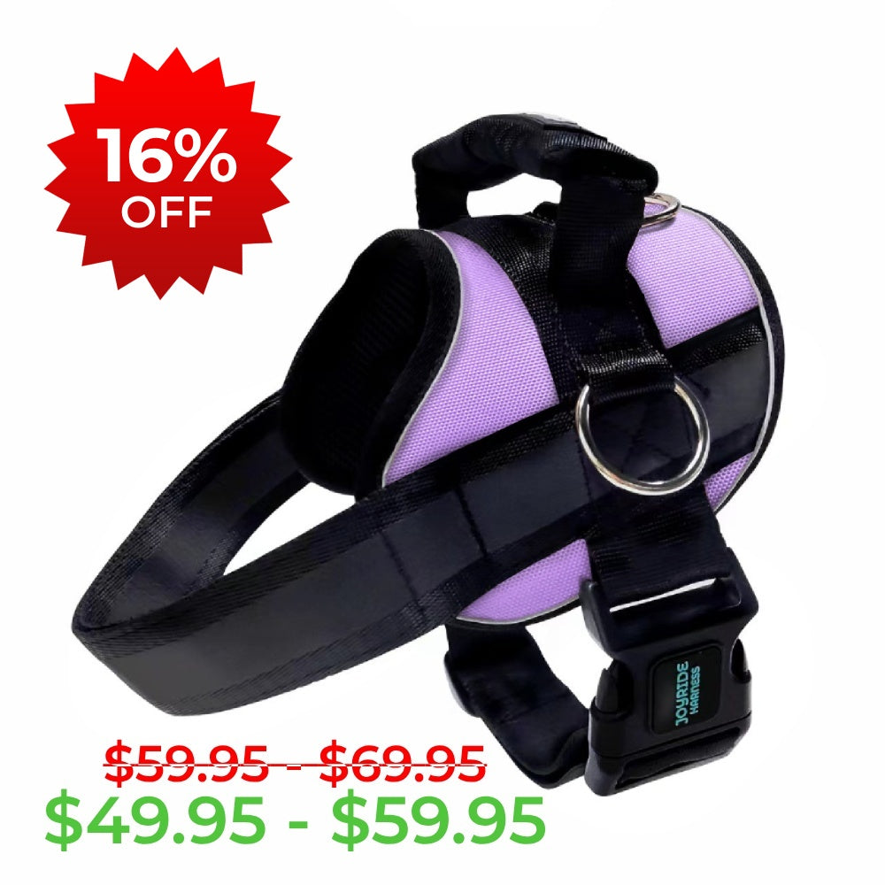 Lavender Dog Harness Lavender Joyride Harness