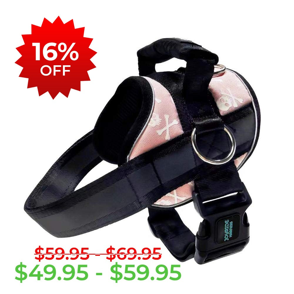 Pink Skulls Joyride Premium Advanced Dog Harness 2.0