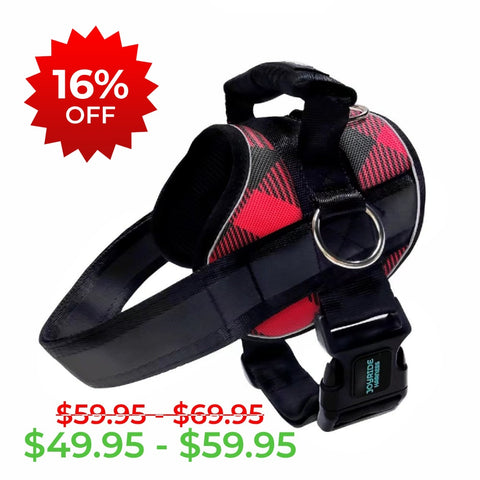 Red Plaid Joyride Premium Advanced Dog Harness 2.0