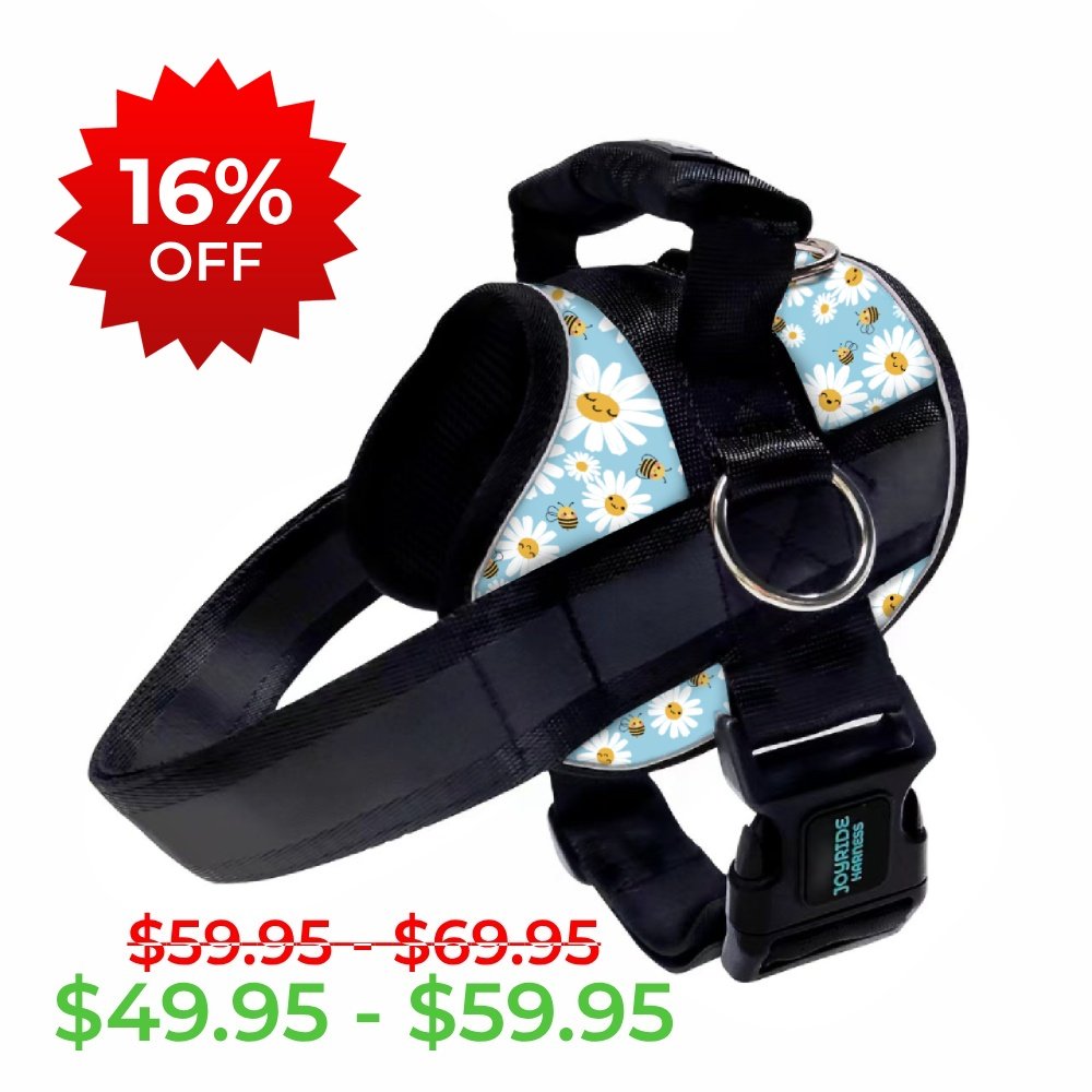 Blossoming Bees Joyride Premium Advanced Dog Harness 2.0