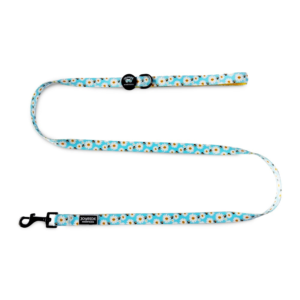 Blossoming Bees Matching Dog Leash