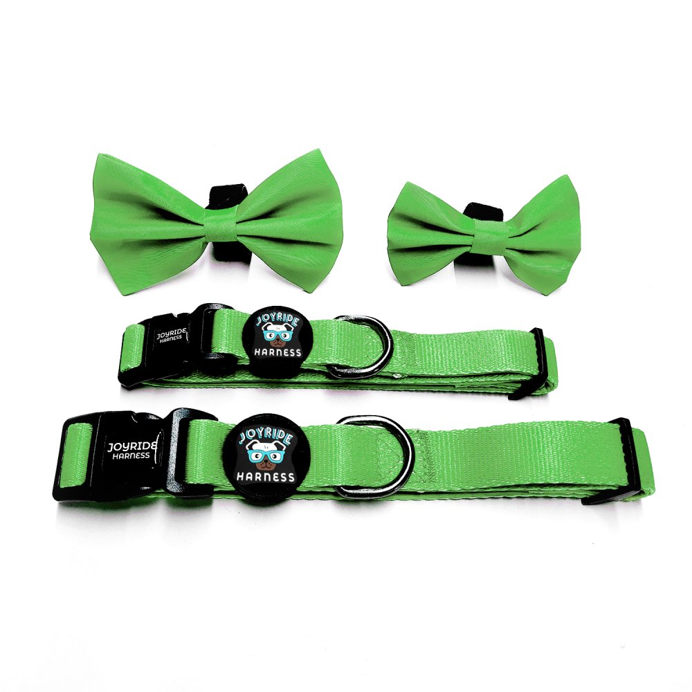 Grass Green Collar ( + free removable bowtie )