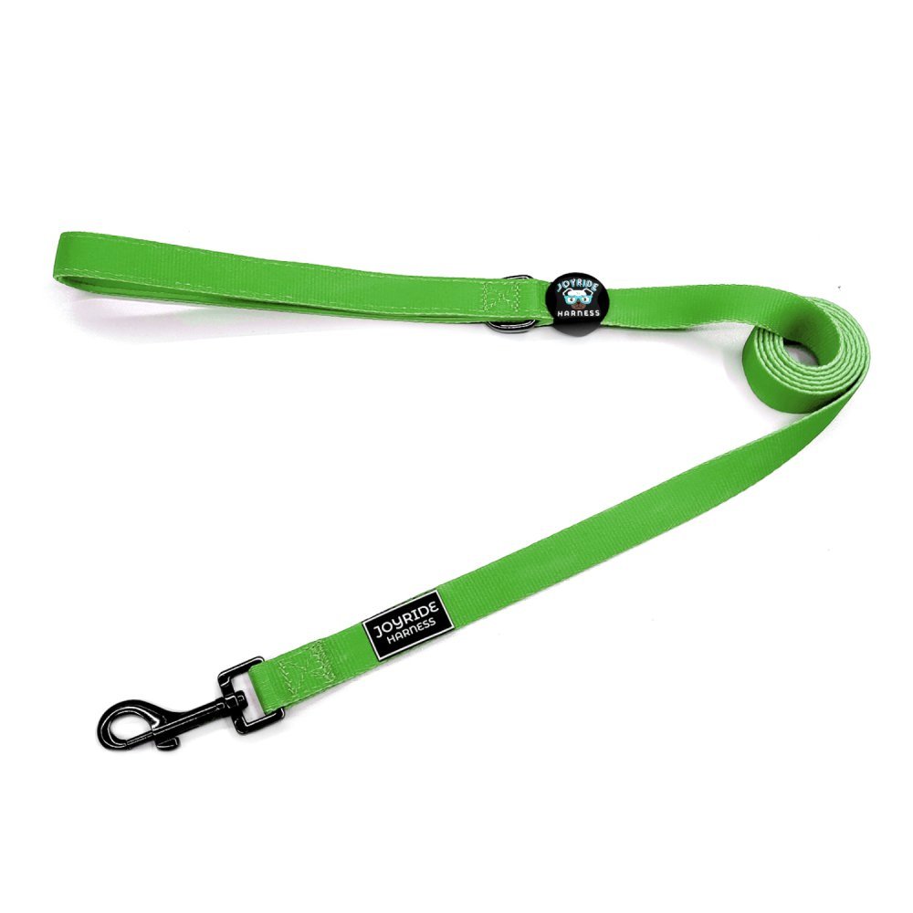 Grass Green Matching Dog Leash