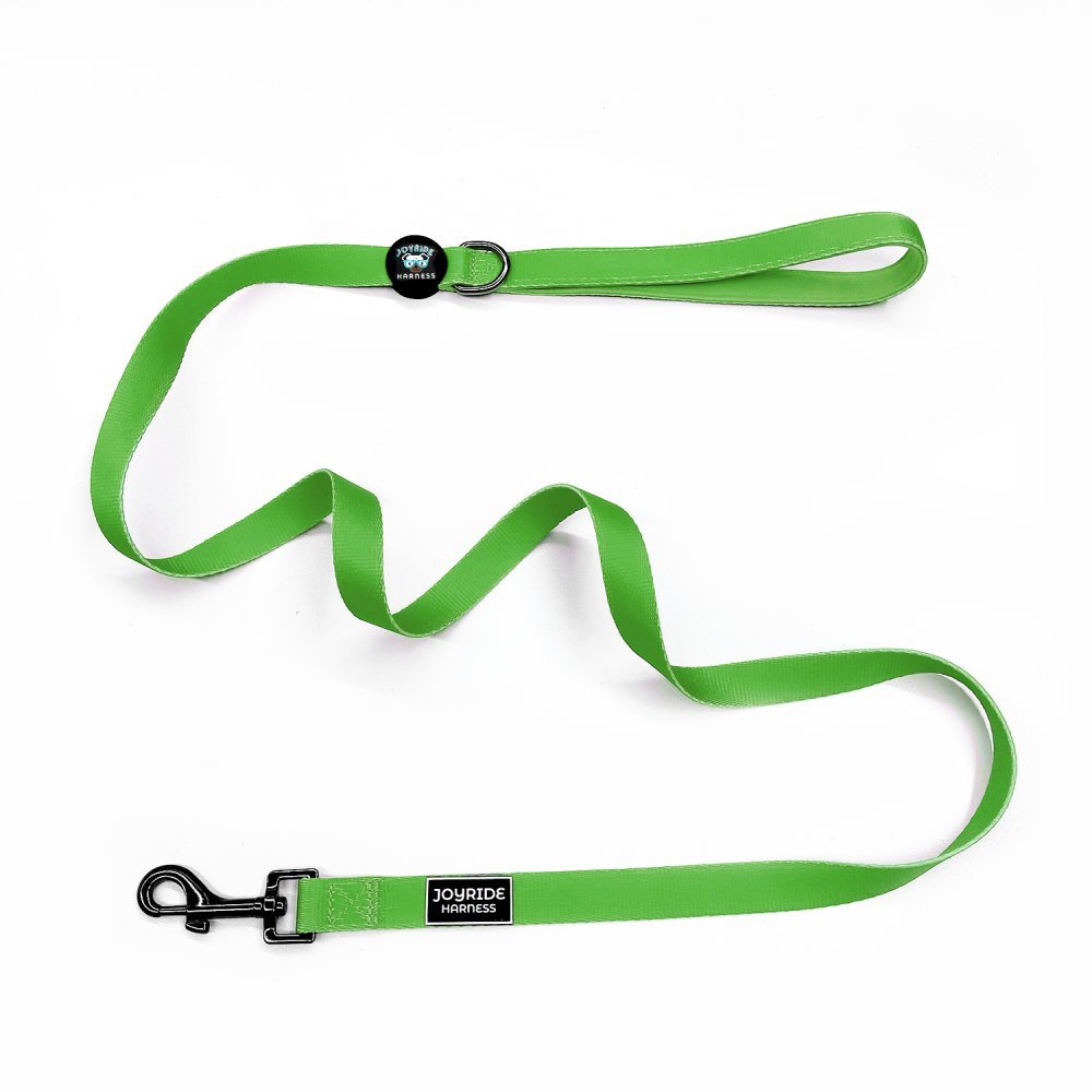 Grass Green Matching Dog Leash