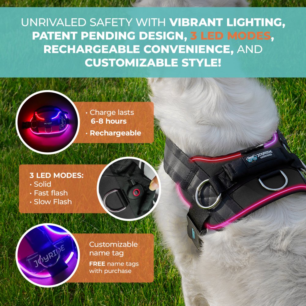 reflective harness with built-in LED safety light