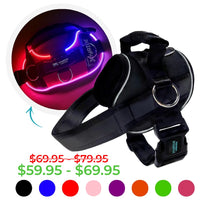 dog harness with led lights