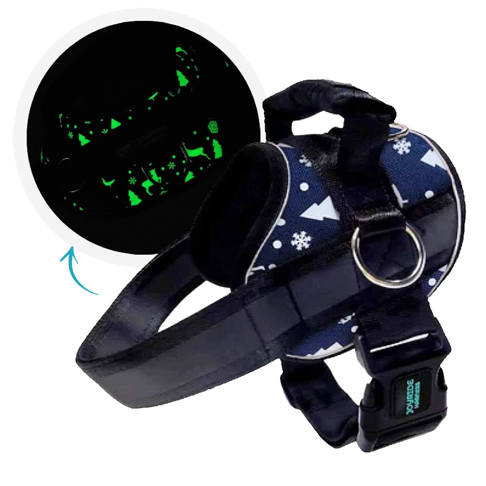 Joyride Dog Harness 2.0 (Patterns) | 15% Off