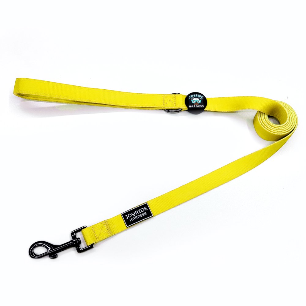 Sunshine Yellow Matching Dog Leash