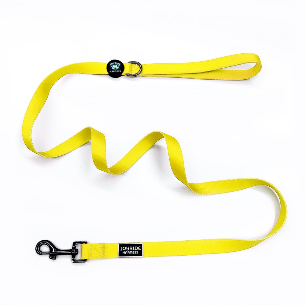 Sunshine Yellow Matching Dog Leash