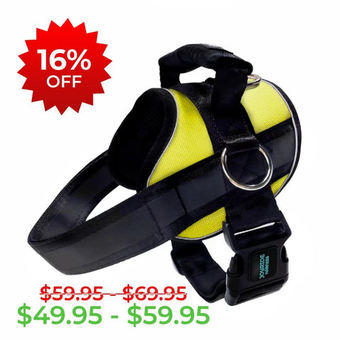 Sunshine Yellow Joyride Premium Advanced Dog Harness 2.0